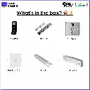 17.webp
